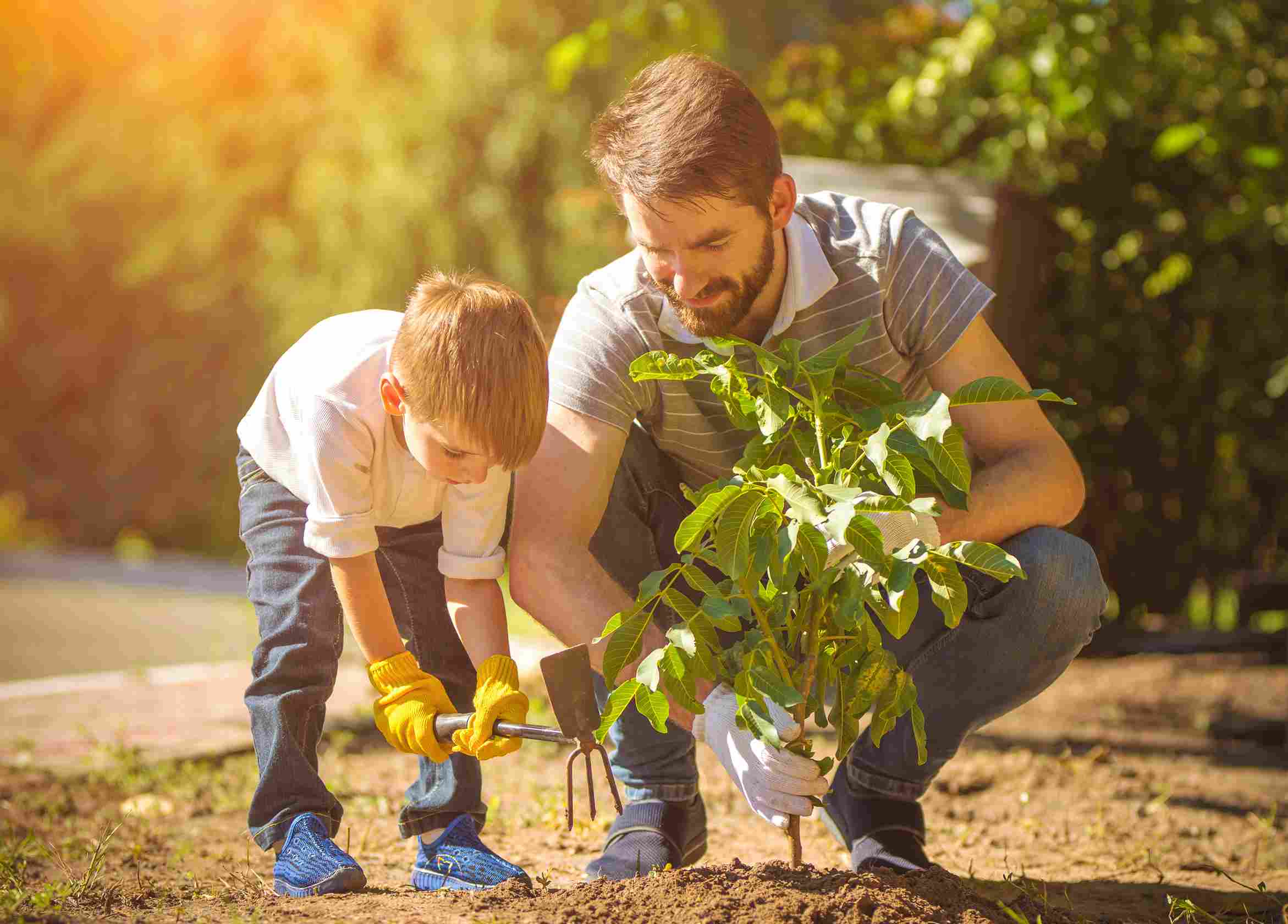Responsabilité sociale et environnementale